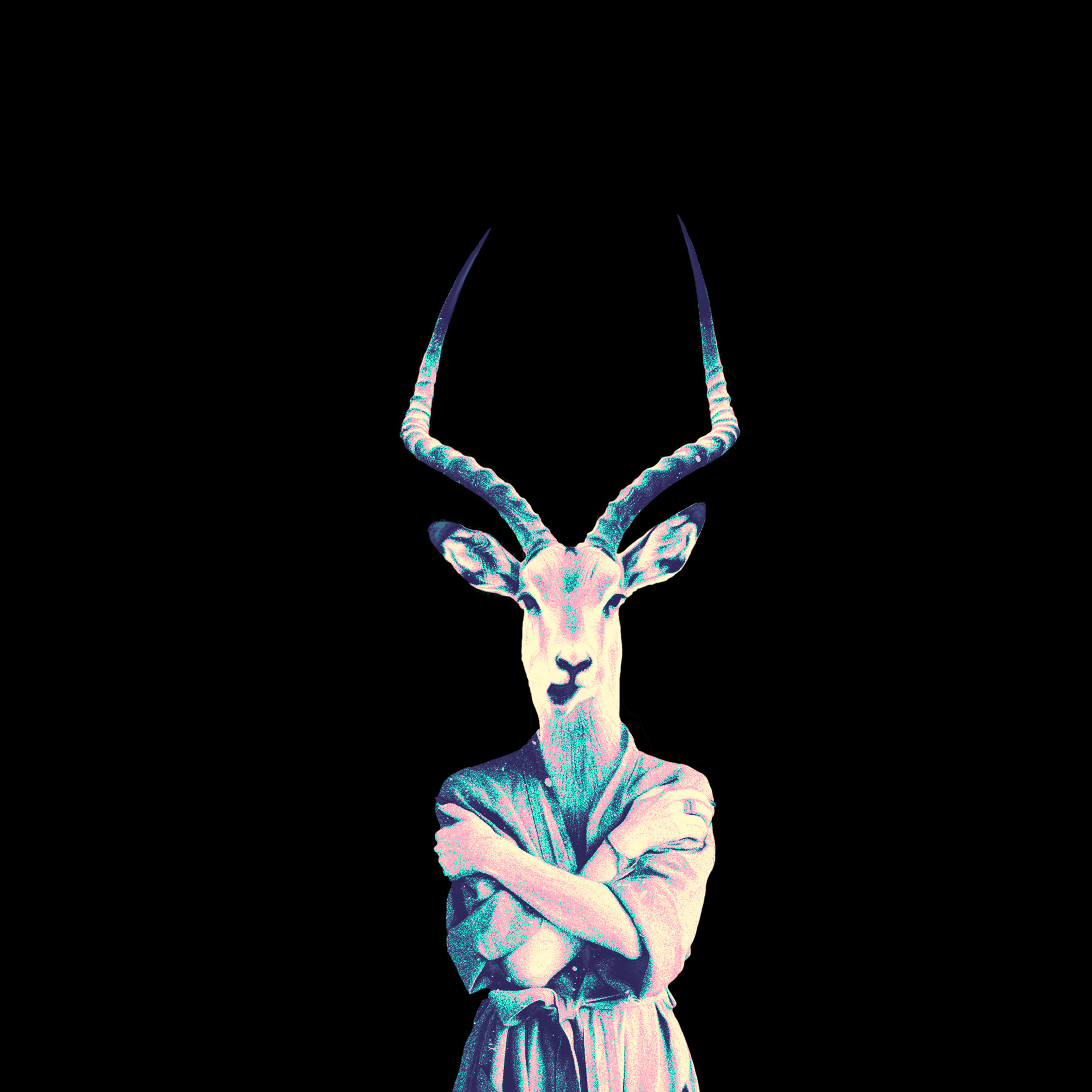 Hybrid figure